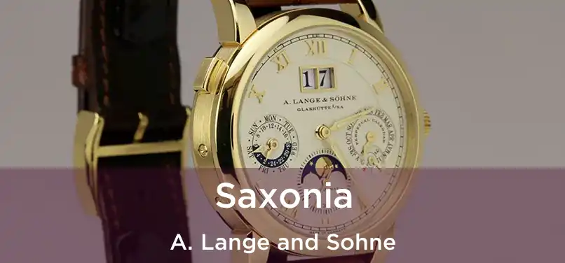  Saxonia A. Lange and Sohne