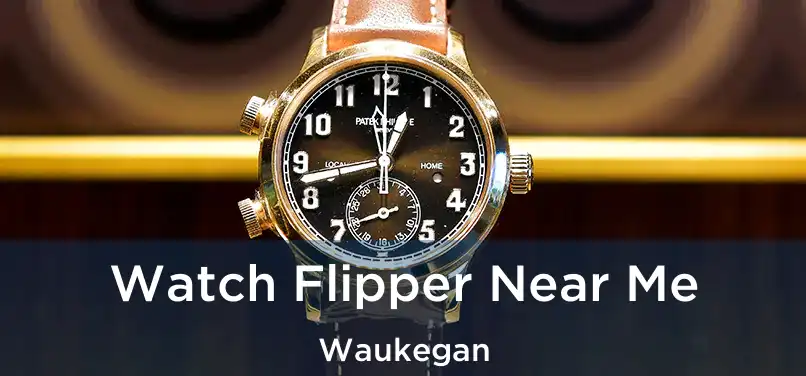  Watch Flipper Near Me Waukegan